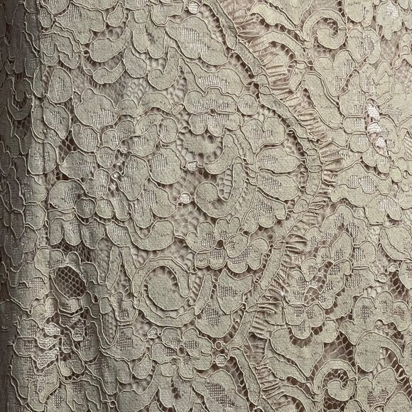 NWT  JS Collections 12 Formal Pink/beige Intricate Lace Elegant Maxi Weddings - Picture 6 of 16